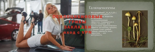 индика Алексеевка
