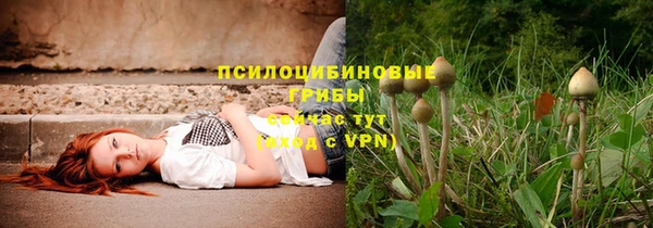 сатива Алзамай