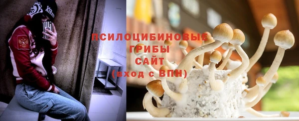 сатива Алзамай