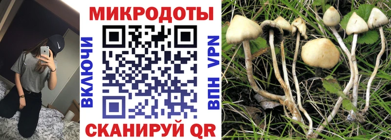 это клад  гидра tor  Фролово  Галлюциногенные грибы Cubensis 